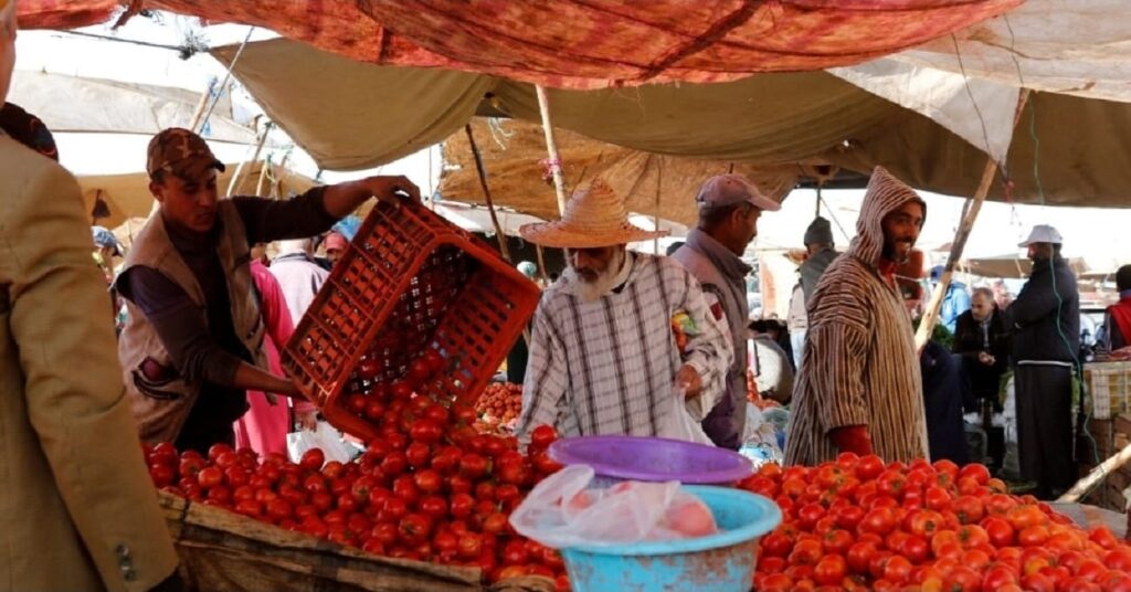 الصادرات الفلاحية المغربية أمام 3 مسارات افتحاص أوروبية في 2027