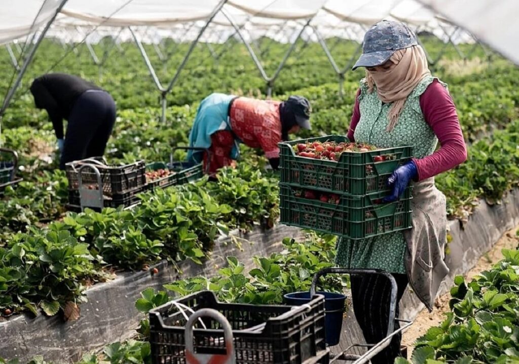 اتفاقيات الضمان الاجتماعي للمغاربة بالخارج ومنظمة العمل الدولية