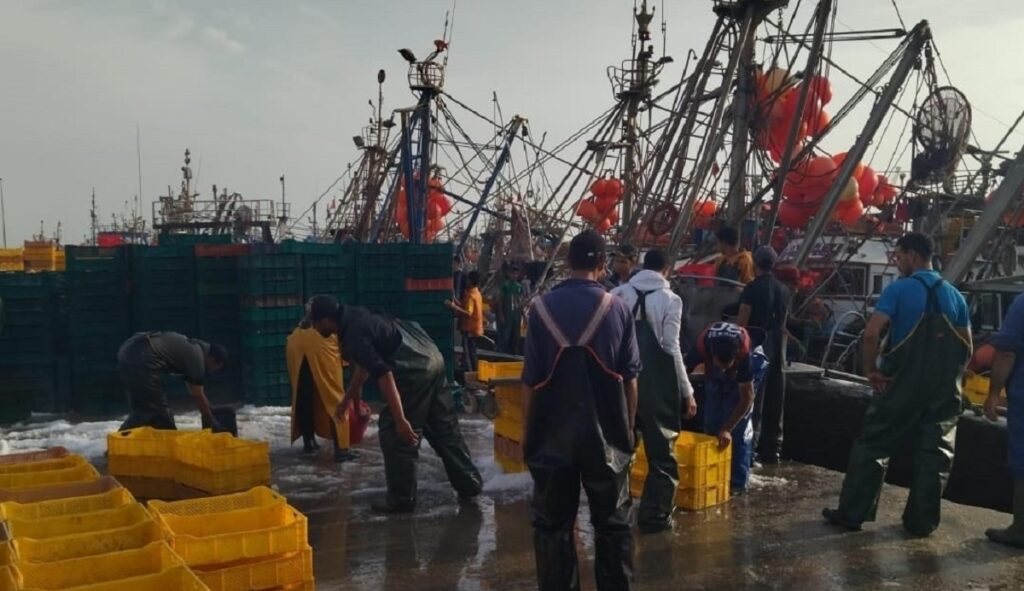 ميناء العيون.. مفرغات السردين تقفز 85% والقيمة ترتفع 116% في ثمانية أشهر مفرغات السردين بميناء العيون ترتفع 85 في المائة خلال 2026