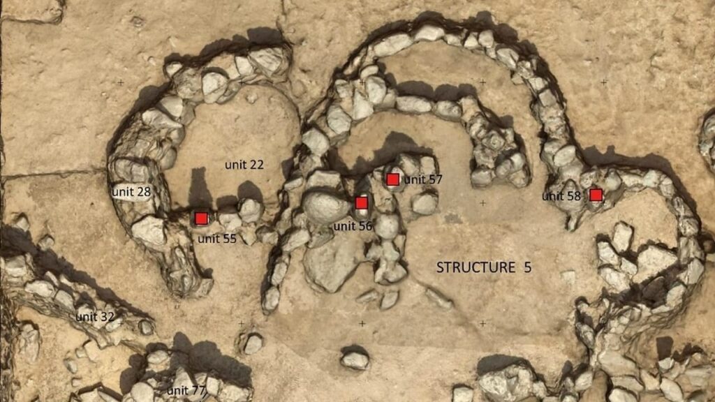 مدفن أثري بالصحراء بوادي لواش التلي يعود إلى أكثر من 4 آلاف سنة وفق دراسة منشورة في African Archaeological Review