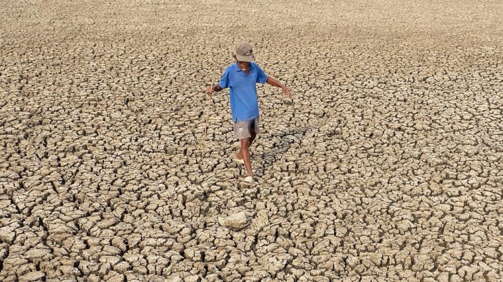 49 مليوناً إضافياً مهددون بالجوع بحلول 2027.. «النينيو» و3 ممرات بحرية يفاقمان أزمة الغذاء! الجوع العالمي 2027 وتحذير برنامج الأغذية العالمي من تعرض 49 مليون شخص إضافي لانعدام الأمن الغذائي بسبب النينيو