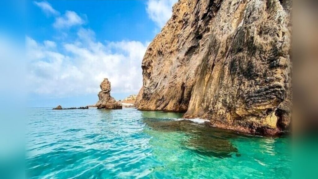 حماية التنوع البيولوجي بالمغرب وتراجع الإنفاق بأكثر من 54 في المائة والمناطق البحرية المحمية