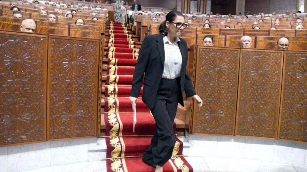 فاطمة الزهراء المنصوري خلال تقديم البرنامج الحكومي ووعود تشغيل الشباب ومليون وظيفة و200 ألف فرصة تكوين وتجربة مهنية سنوياً