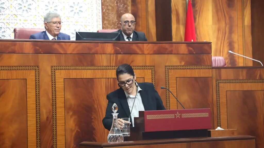 «1000 درهم في 2031».. وعد المنصوري بين جيوب الأسر وسنة الانتخابات! الدعم الاجتماعي المباشر من 500 إلى 1000 درهم بحلول 2031 ضمن البرنامج الحكومي لفاطمة الزهراء المنصوري